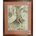 C Rue, study of a tree, pen and ink, signed, 44 x 35 cm Overall condition good, no damage found