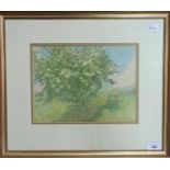 James Simpson Alderson (British 1856-1948), The May Tree, pastel, 21 x 28 cm, exhibition label verso
