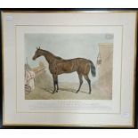 A print of a racehorse, Beeswing, 50 x 60 cm Some loss of colour but no rips or tears