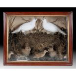 Taxidermy: Two rabbits with other animals and birds, in a glazed case, 79 cm wide Case glass damaged