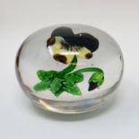 A glass paperweight, decorated a Violet, possibly Baccarat, 6.5 cm diameter a couple of slight