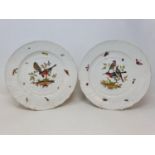 A pair of 19th century Dresden plates, decorated birds and butterflies, 25 cm diameter (2) Some