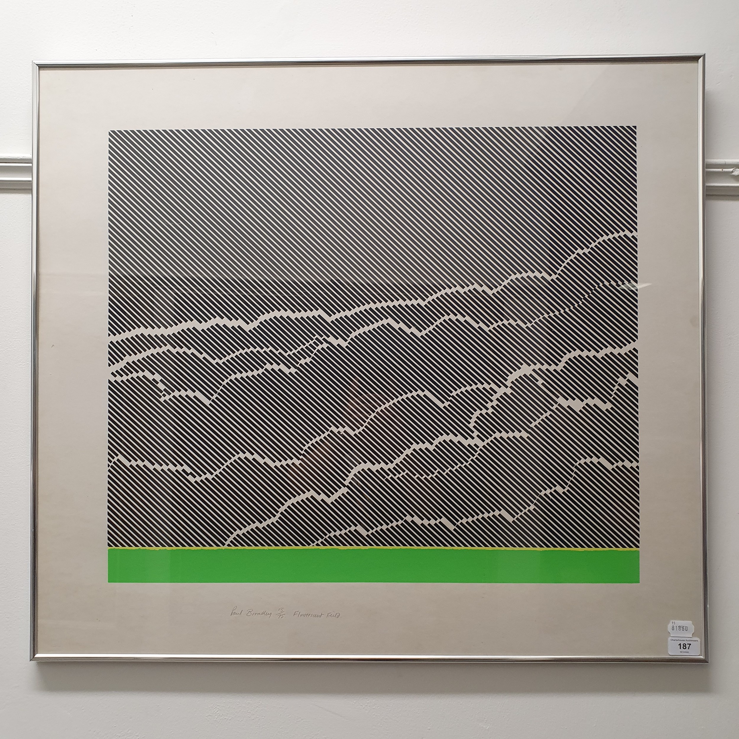 Paul Bradley (British b 1957), Florescent Fluid, limited edition print, 13/75, signed and titled - Image 2 of 9