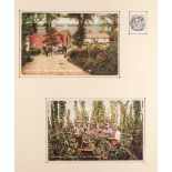 POSTCARDS - HOP PICKING series of 1906-07 Young & Cooper of Maidstone, Kent cards (16, incl. used),