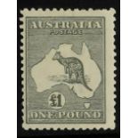 AUSTRALIA 1923-24 £1 grey Kangaroo, SG 75, fresh mint, couple of shorter perfs at top. Cat. £650.