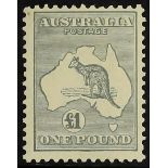 AUSTRALIA 1931-36 £1 grey Kangaroo, SG 137, fine mint. Cat. £650.