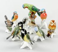 9 Vogelfiguren