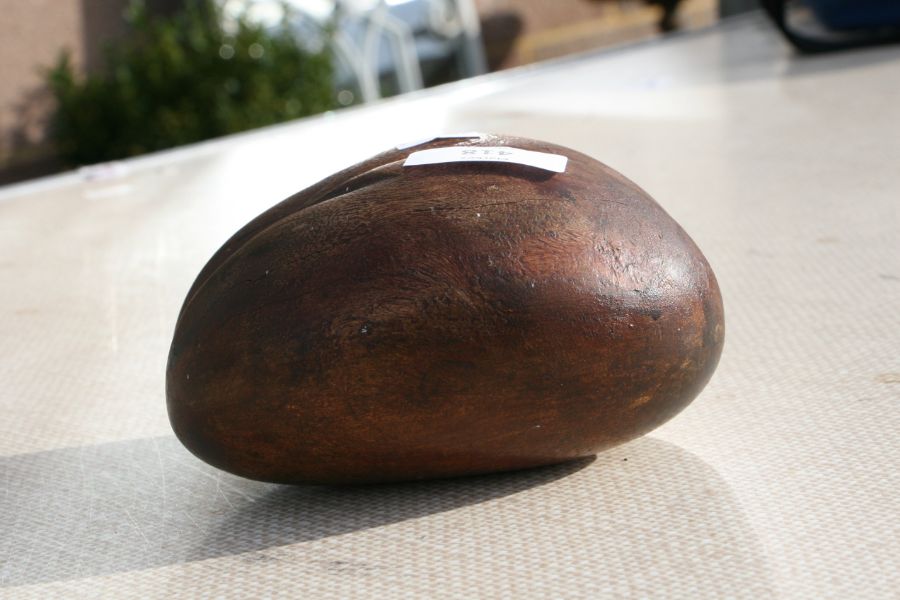 A treen carving in the form of a coco-de-mer, 20cms high.Condition ReportA couple of minor age - Image 4 of 7