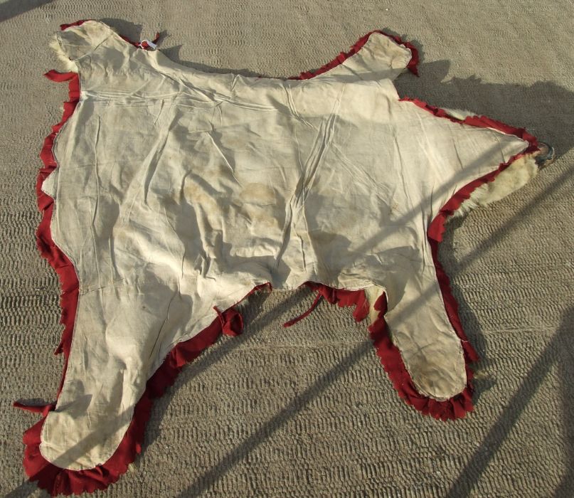 Taxidermy. A polar bear skin rug, approx 185 by 170cms. - Image 7 of 7