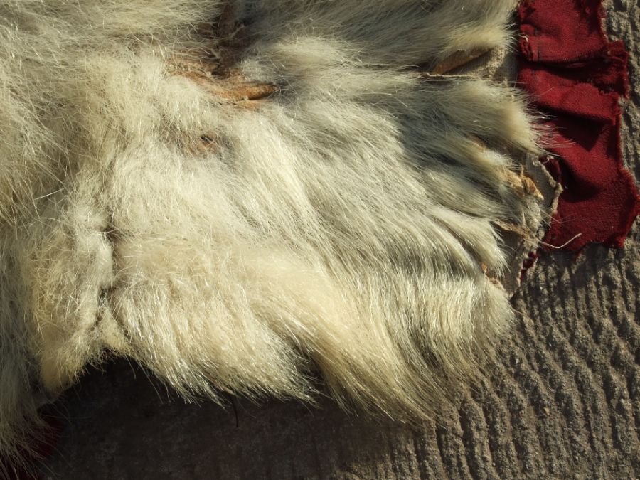 Taxidermy. A polar bear skin rug, approx 185 by 170cms. - Image 5 of 7