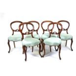 A set of six Victorian mahogany balloon back dining chairs with overstuffed seats and cabriole front