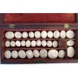 A quantity of 19th century Grand Tour plaster intaglios in a mahogany case with boxwood and ebony