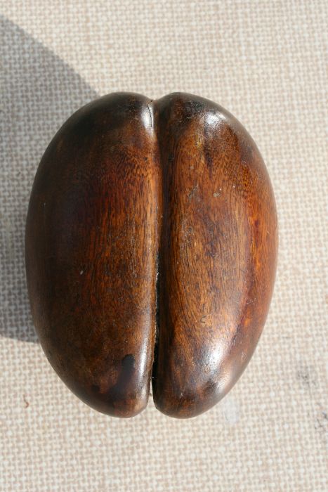 A treen carving in the form of a coco-de-mer, 20cms high.Condition ReportA couple of minor age - Image 2 of 7