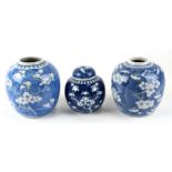 Two Chinese blue & white ginger jars decorated with prunus, four character blue mark to the