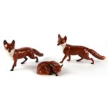 Two large standing Beswick foxes; together with a similar laying curled, largest 24cms long (3).