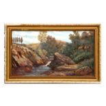 Early 20th century school - Rocky River Scene - oil on canvas, framed, 44 by 24cms.