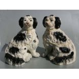 A pair of Staffordshire style seated spaniels, 27cms high.