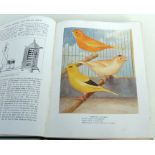 Robson (John) Canaries, Hybrids and British Birds in Cage and Aviary, published by Cassell and Co.