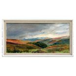 N Teedd (early 20th century school) - Rural Farmland Scene - signed lower right, oil on board, 59 by