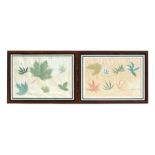 A set of five late 19th century Chinese botanical leaf studies, watercolour with bodycolour, all