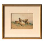 Frederick E Valter (1850-1930) - A Flock of Sheep - watercolour, signed lower right, framed &