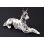 A Lladro figure of a recumbent Great Dane dog, 31cm long.Condition ReportGood overall condition no