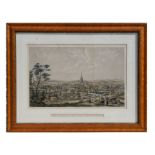 A 19th century coloured engraving - The Cathedral and City of Salisbury - framed & glazed in a birds