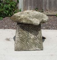 A stone staddle stone, 47cms high.