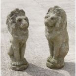 A pair of reconstituted stone rampant lions. 51cm high