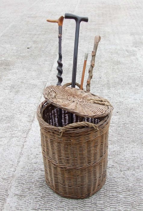 A swagger stick, a holly walking stick, other walking sticks in a wicker basket, (5)