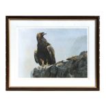 After Robert Bateman - A Golden Eagle - numbered 4/950, limited edition print, signed in pencil to