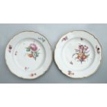 A pair of 18th century German Furstenberg plates decorated with flowers with a gilded rim, 24cms