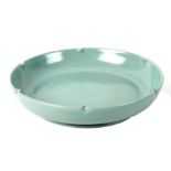 A Chinese celadon crackle glaze shallow dish with scalloped rim, 20cms diameter.