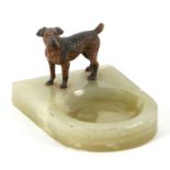 An Austrian cold painted bronze Airedale dog on a green onyx ashtray base, 5.5cms high.