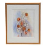 Anita Pegler (modern British) - Chinese Lanterns ((Physalis alkekengi) - watercolour, signed lower