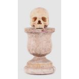 A modern memento mori skull, mounted on a carved wooden plinth, 28cm high