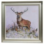John Taylor (modern British) - Majestic Study - a 10 point stag, oil on board, signed lower right,