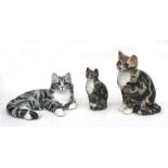 A group of three Winstanley pottery cats, the largest 30cms high (3).