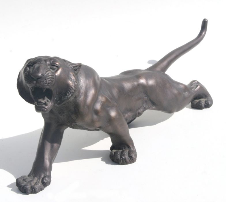 A large bronzed resin study of a snarling tiger, 63cms long.