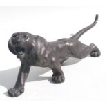 A large bronzed resin study of a snarling tiger, 63cms long.