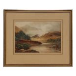 Early 20th century school - Highland River Scene with Fir Trees - watercolour, framed & glazed, 24