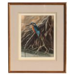 Chloe Talbot Kelly (b1927) - Kingfisher on Tree Roots - watercolour, initialled & dated '85 lower