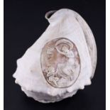 A 19th century cameo carved conch shell.