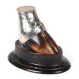 Taxidermy. A Victorian silver mounted deer hoof inkwell, London 1896 and makers mark for Thomas