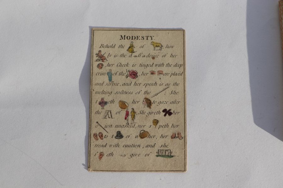 The Polite Repository or Pocket Companion for 1806 containing twelve hand coloured cryptic picture - Image 7 of 17