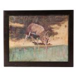 African school - Study of an African Bongo Antelope Drinking at a Water Hole with a Baboon in the