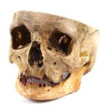 An 18th century half human skull, the underside inset with a lead cartouche seal dated 1730 and