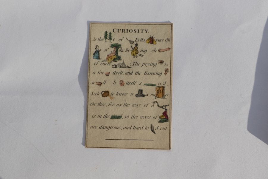 The Polite Repository or Pocket Companion for 1806 containing twelve hand coloured cryptic picture - Image 10 of 17