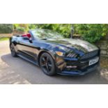 2015 Ford Mustang Convertible (S550)