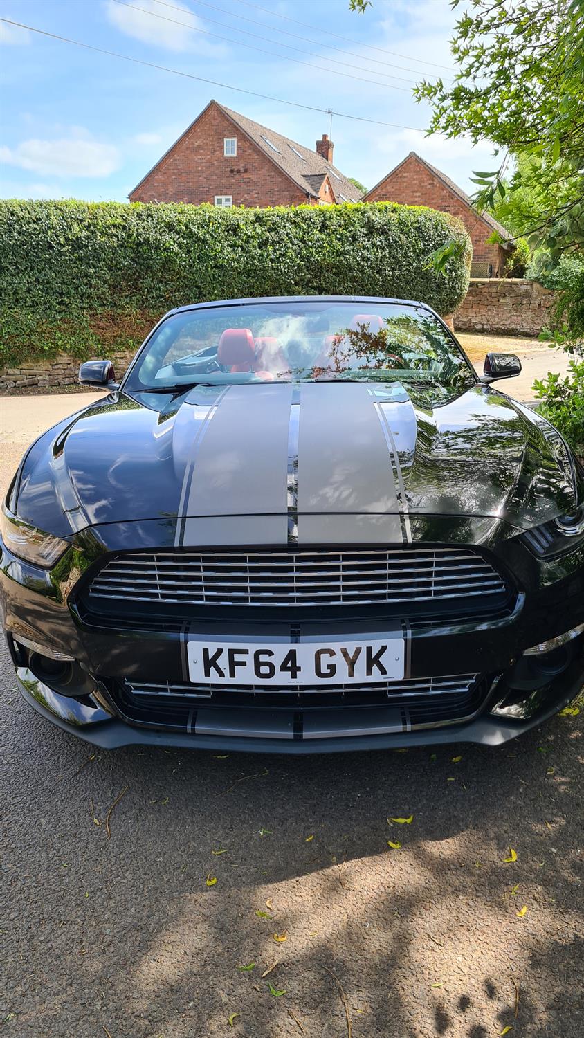 2015 Ford Mustang Convertible (S550) - Image 9 of 10